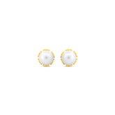 22K Gold Elegant Pearl Stud Earrings